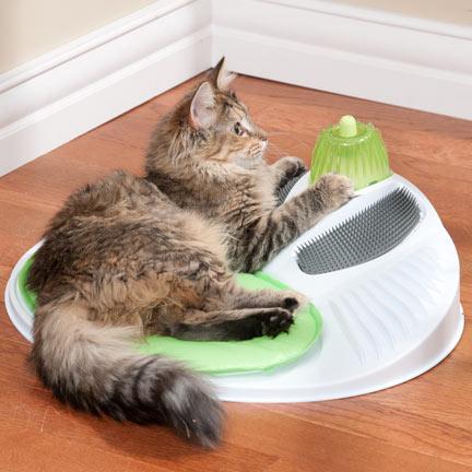 Cat Wellness Center