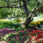 Prescott Park
