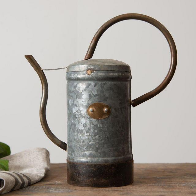 Galvanized Watering Can