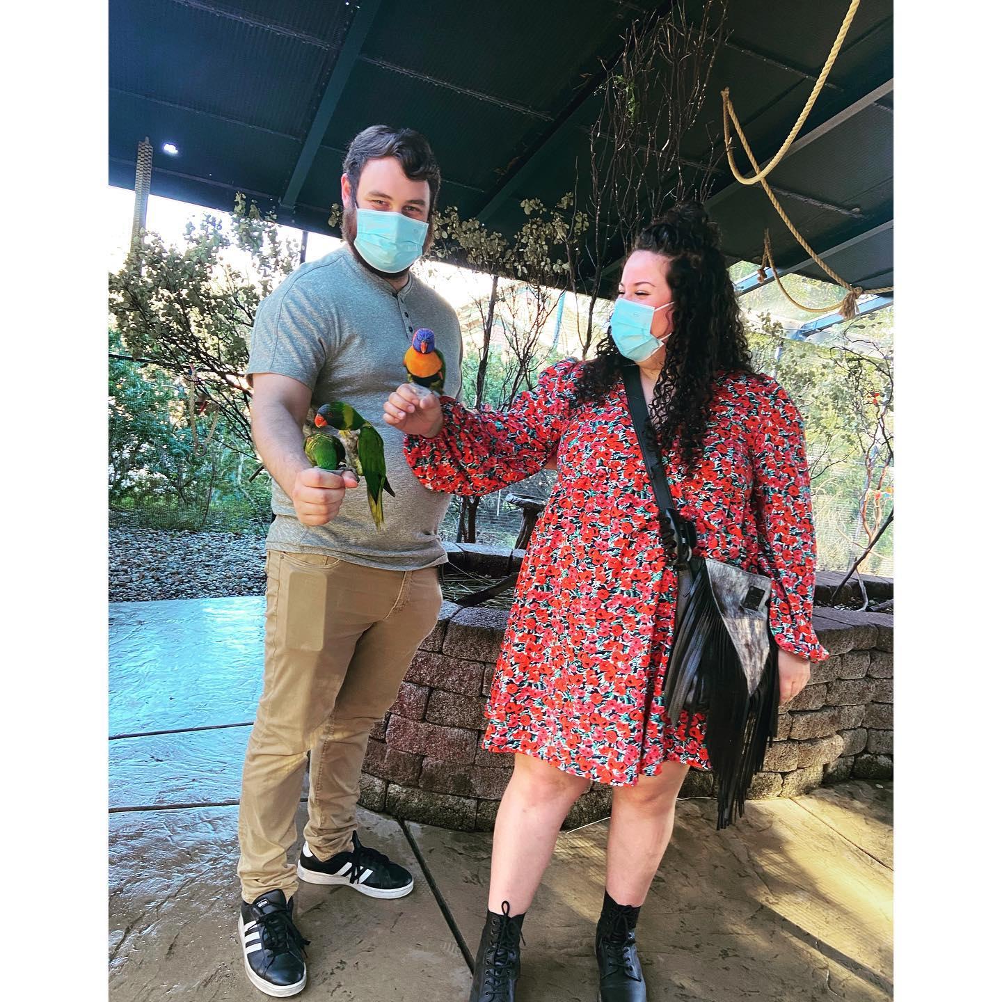 Just a couple of love birds visiting the Lorikeets at Turtle Bay!