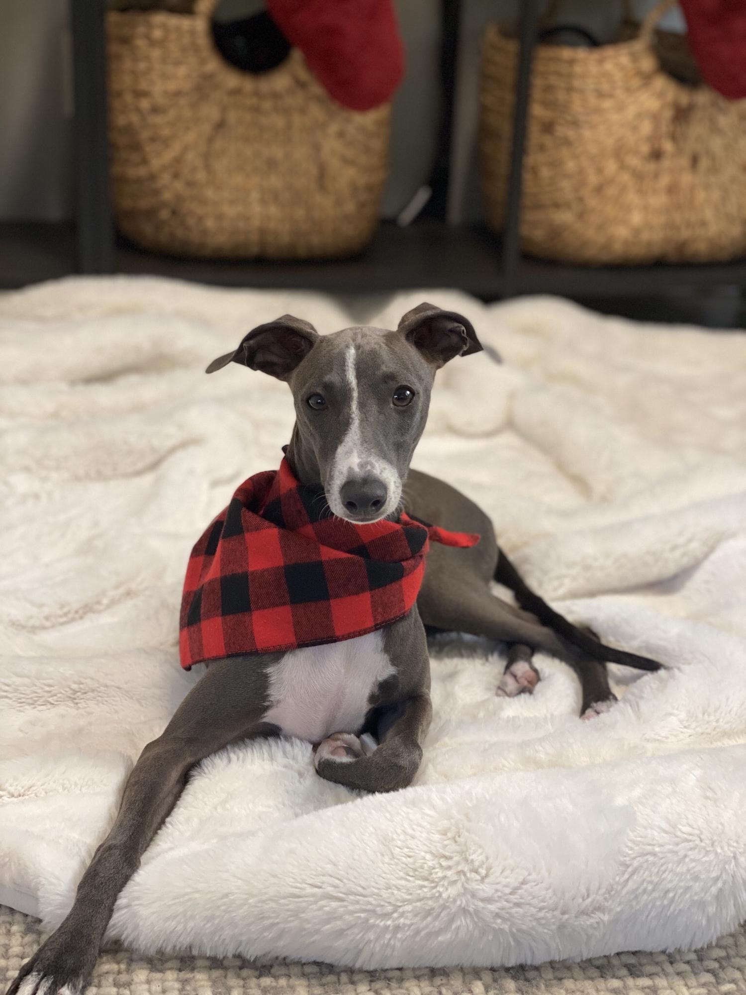 Our Baby! Norman!