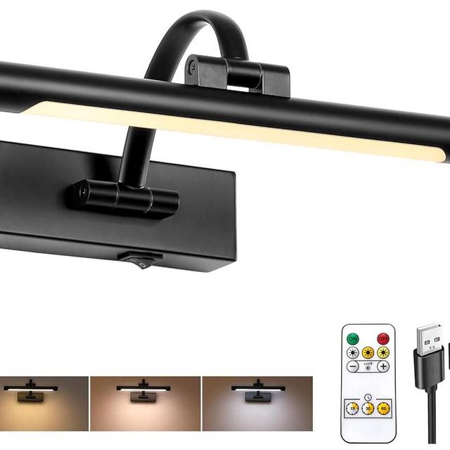 Tassuowell Battery Powered Picture Light with Remote and Timer,Full Metal Art Light with Swing Arm,12 Inch Dimmable,3CCT in One, Rechargeable Wall Lights for Display, Artwork, Canvas,Hallway