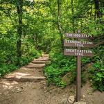 Thousand Steps - Standing Stone Trail