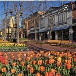 Pearl Street Mall