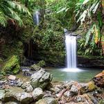 El Yunque National Forest