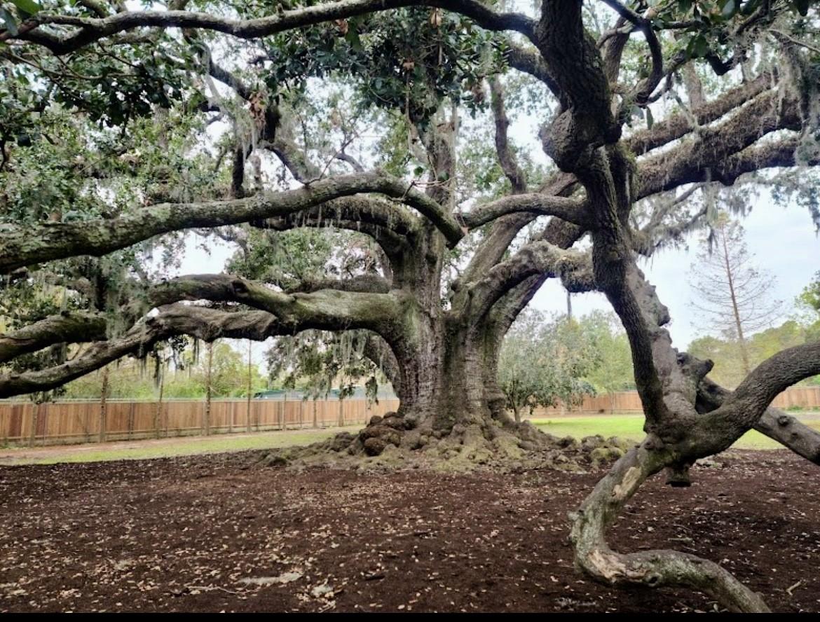 The Wedding Website of Heather Woods and Brett Halstead