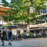 Coconut Grove