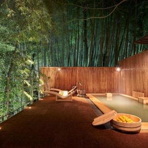 Stay at a Japanese Spa