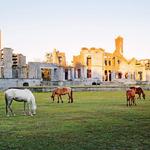 Cumberland Island National Seashore Visitor Center