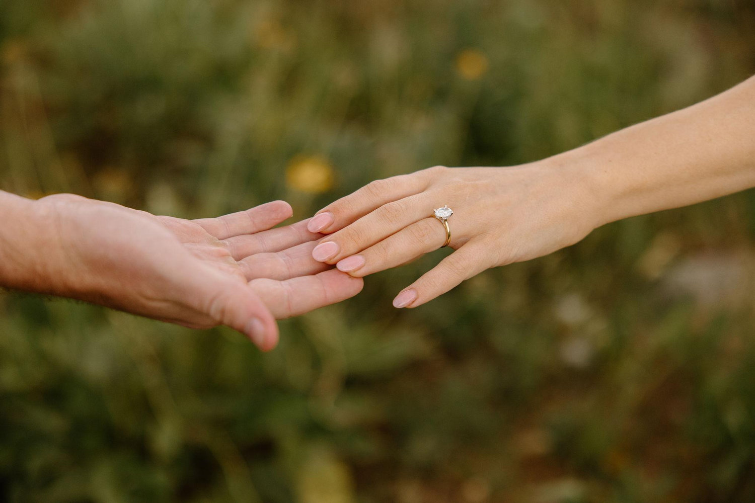 The Wedding Website of Amanda McDowell and Andrew Figueiredo
