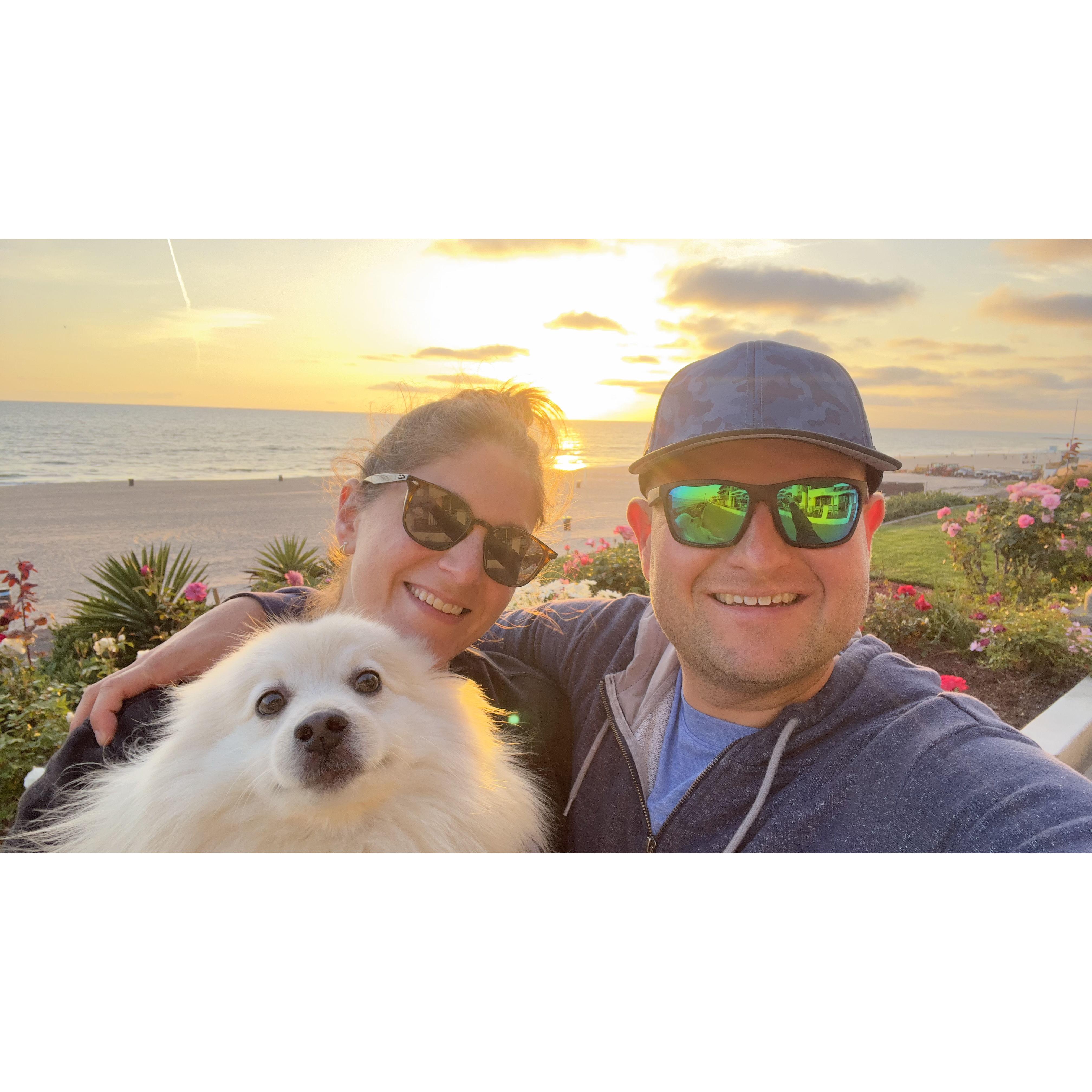 On one of our many evening walks with Bear in Manhattan Beach