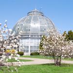 Belle Isle
