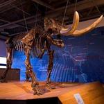 Mid-America Science Museum