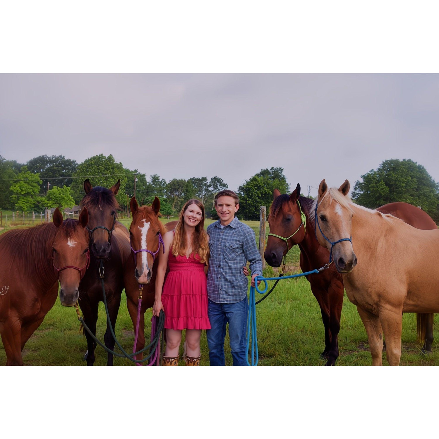 Our herd