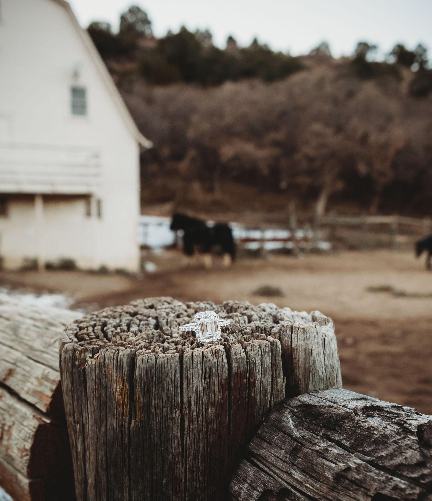 The Wedding Website of Kayla Wilson and Gavin Butterfield
