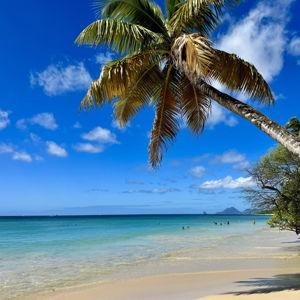 Daytrip to Les Salines Beach