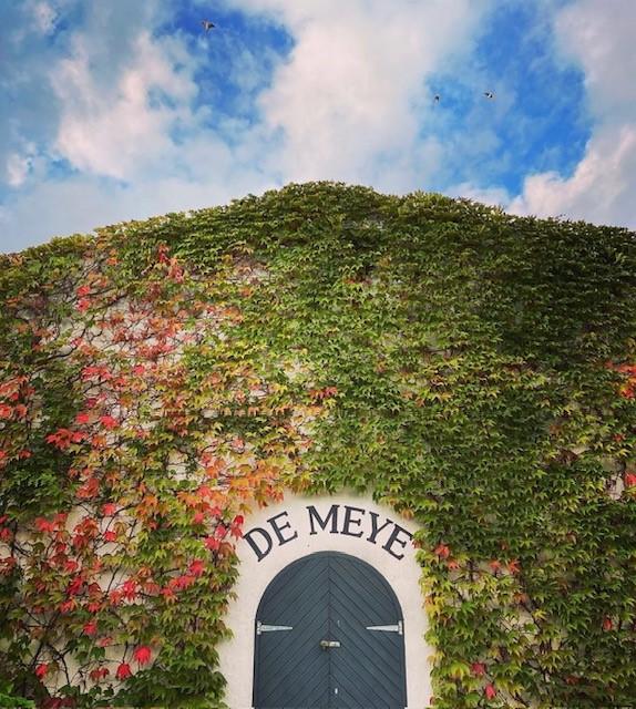 The Wedding Website of Remcia Forbes and Lloyd Pullen