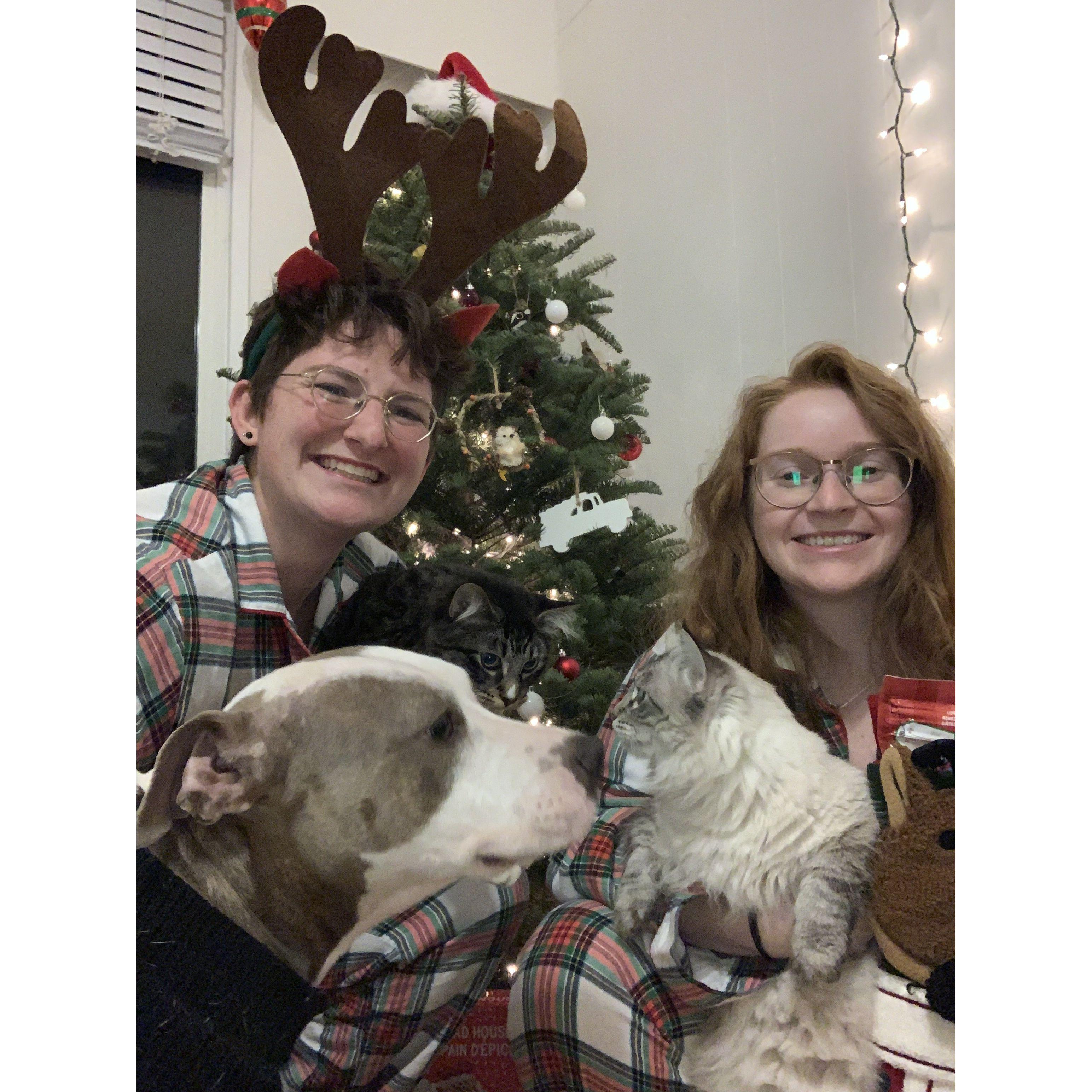 Our first Christmas with our current pet family in Vancouver: Pebble, Wintermelon and Teakettle.