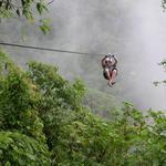 Zipline Through the Canopies!
