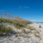 Carolina Beach