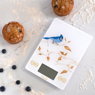 Arti Blue Jay Glass Digital Scale