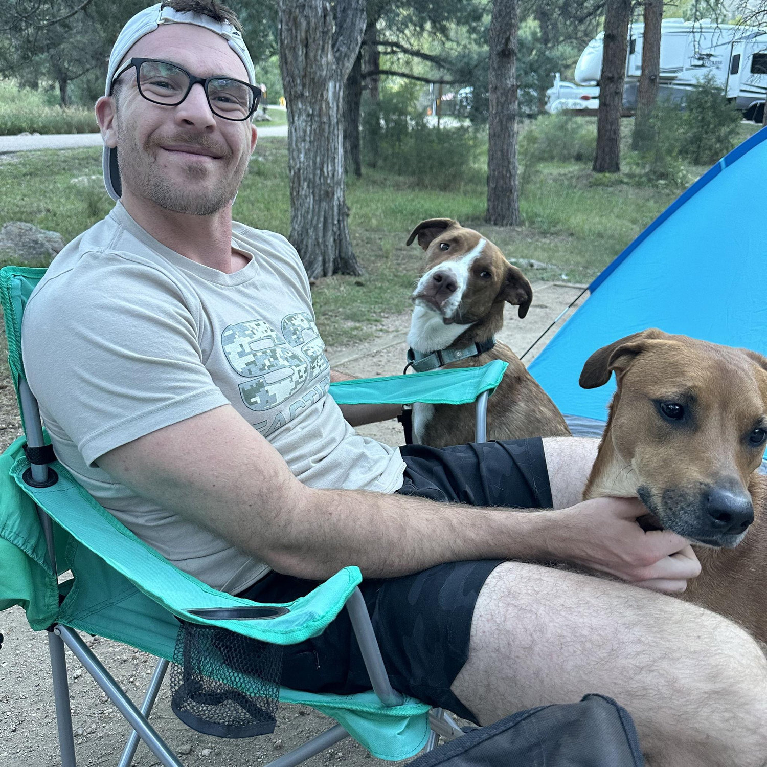 Colorado puppies