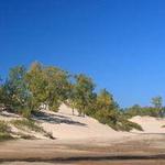 Sandbanks Provincial Park