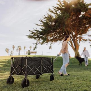 Wilderness Collapsible Folding Wagon