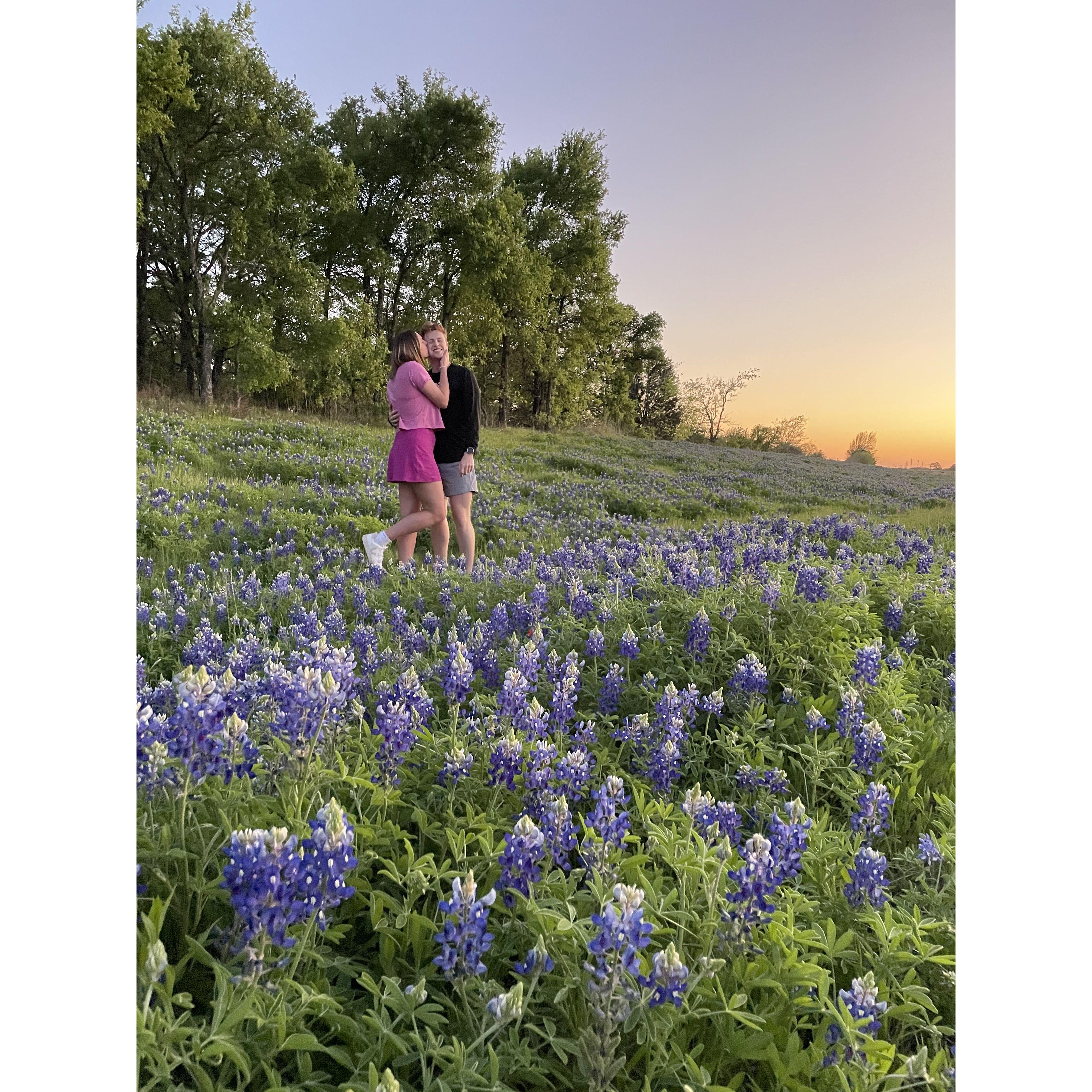In the Texas bluebonnet fields