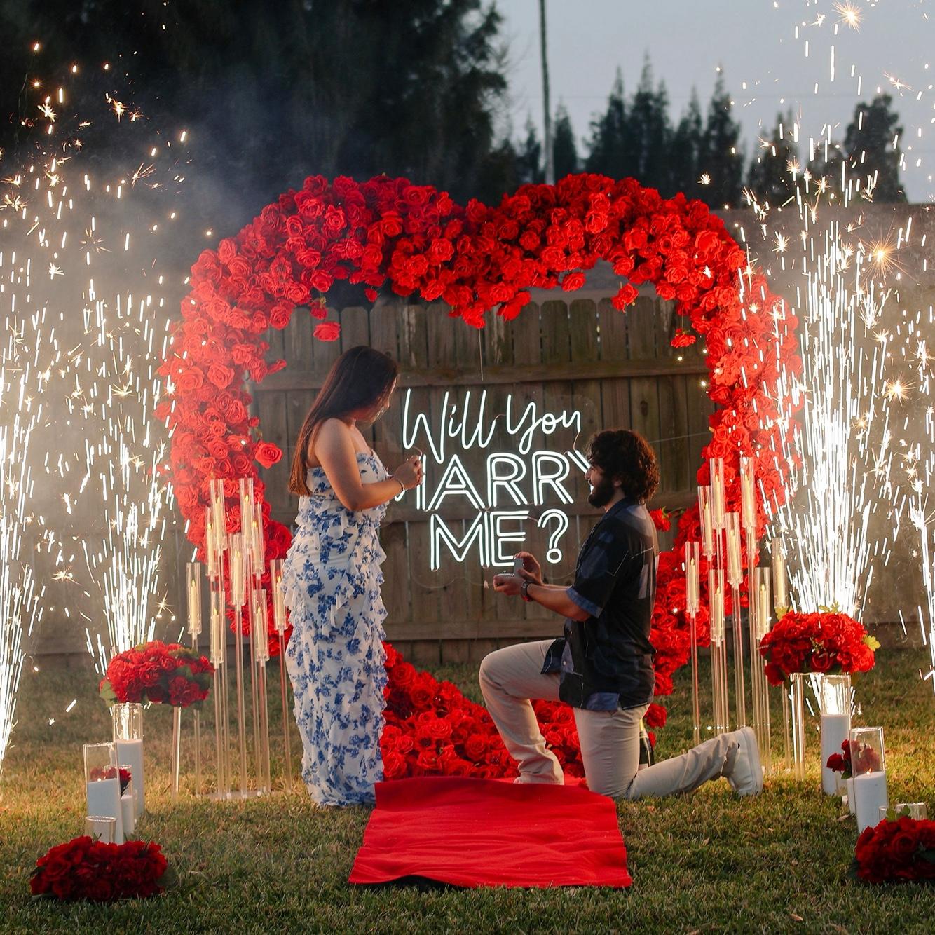 Engagement photo!