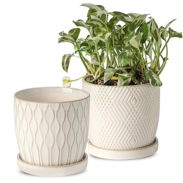 Nihow Ceramic Plant Pots - 4.75 Inch Planters for Indoor Plants,Embossed Flower Pots with Drainage Hole & Saucer,Small Pots for Succulent,Cactus,Little Snake,Set of 2,White -3