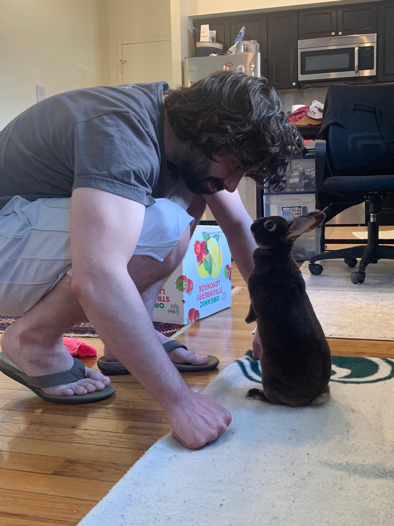 Pat’s failed attempt at establishing dominance with our sweet rabbit.