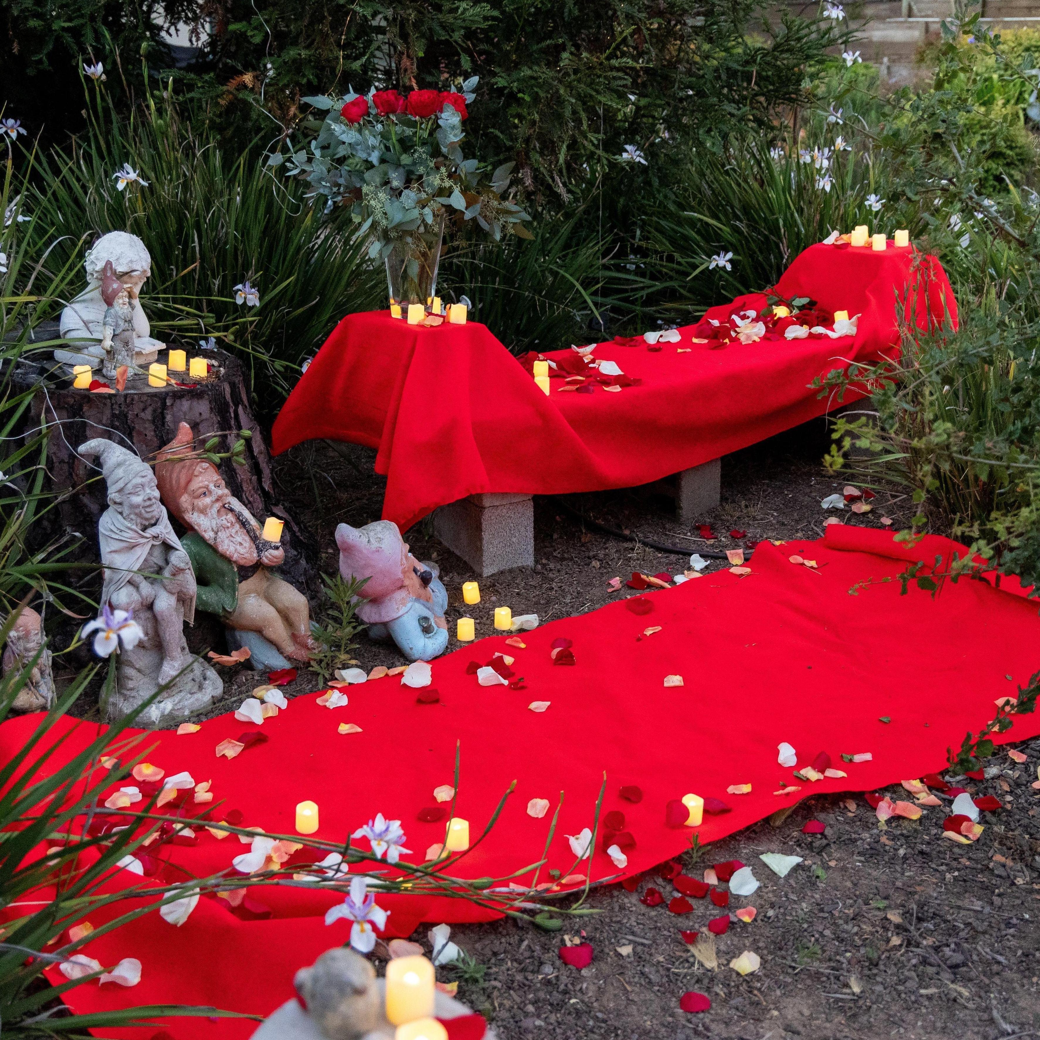 Christina's Proposal Set up.