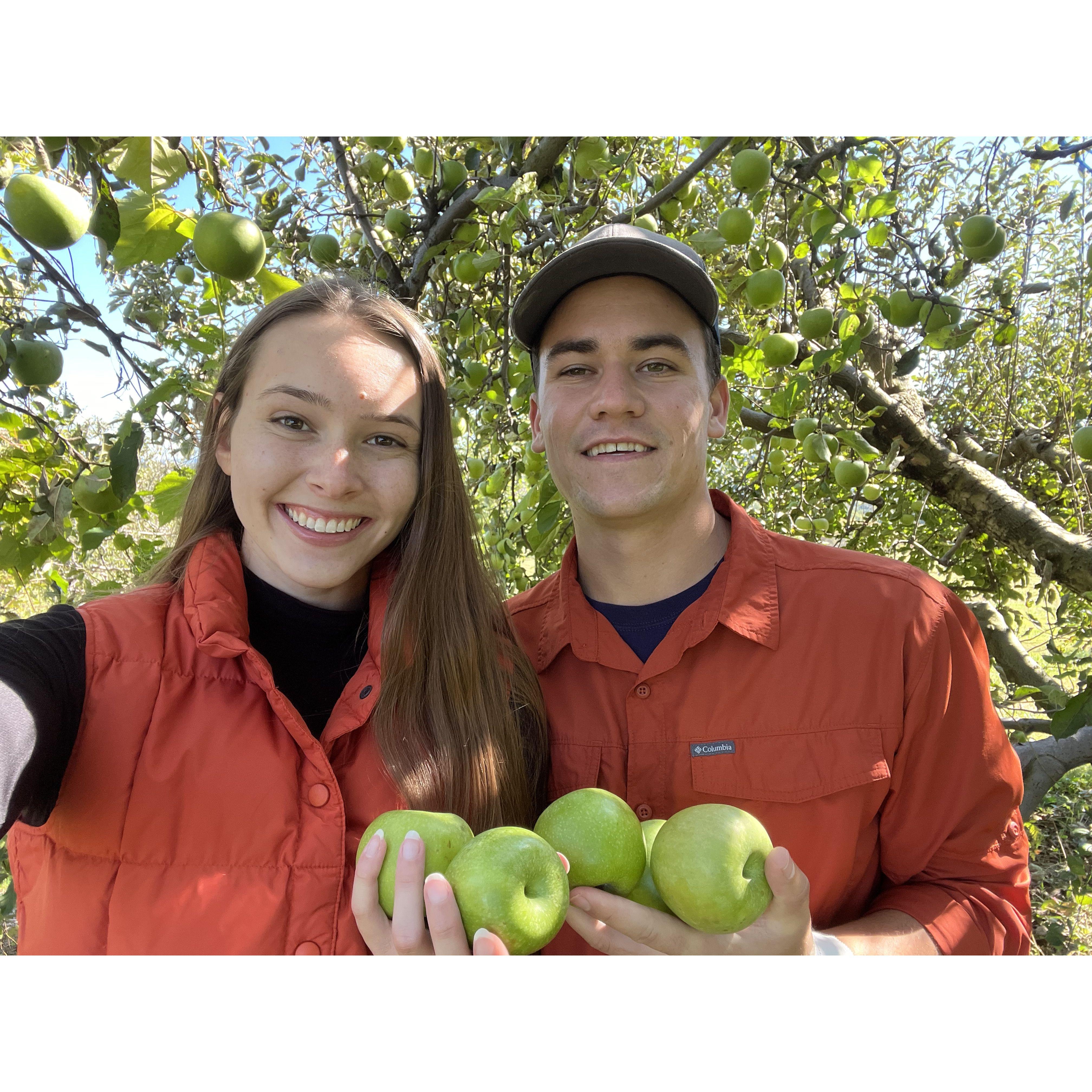 October 9, 2022: Apple picking at Hartland Orchard