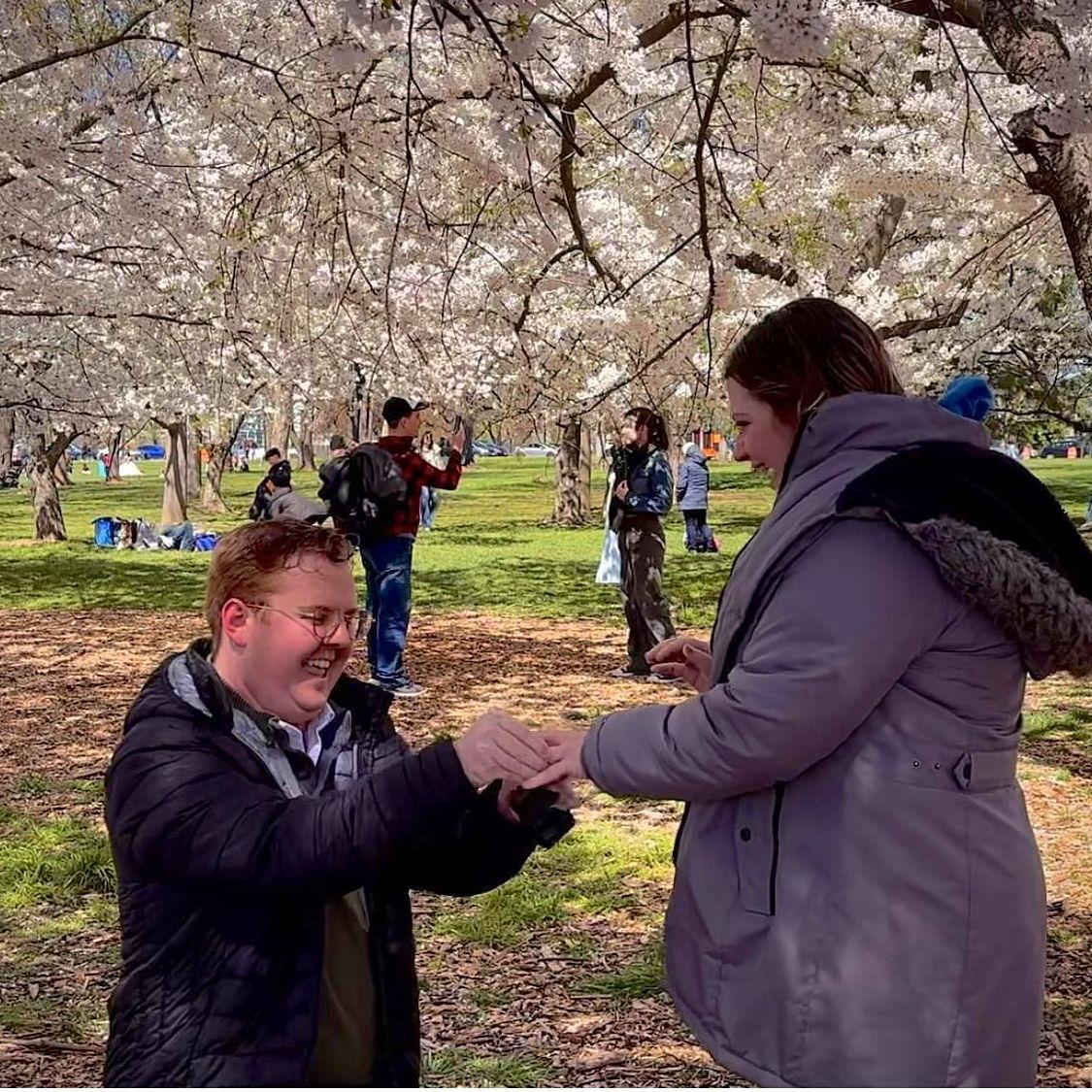 Magical Moment under the Cherry Blossoms