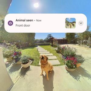 Google Home 1 Year Subscription