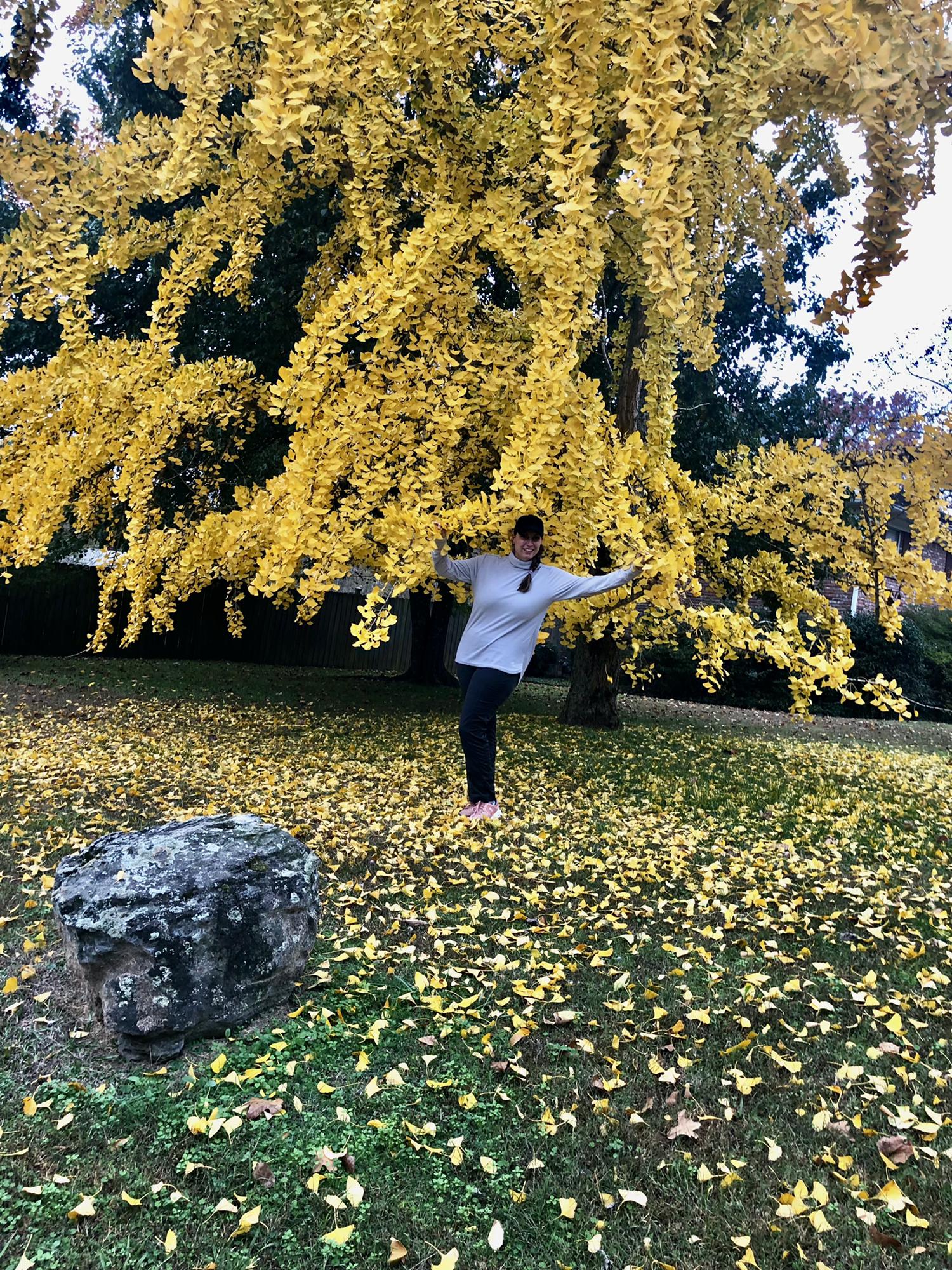 Hot Springs favorite tree near condo