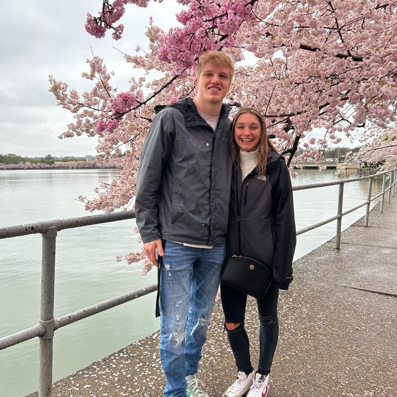 Enjoying the Cherry Blossoms, March 2023