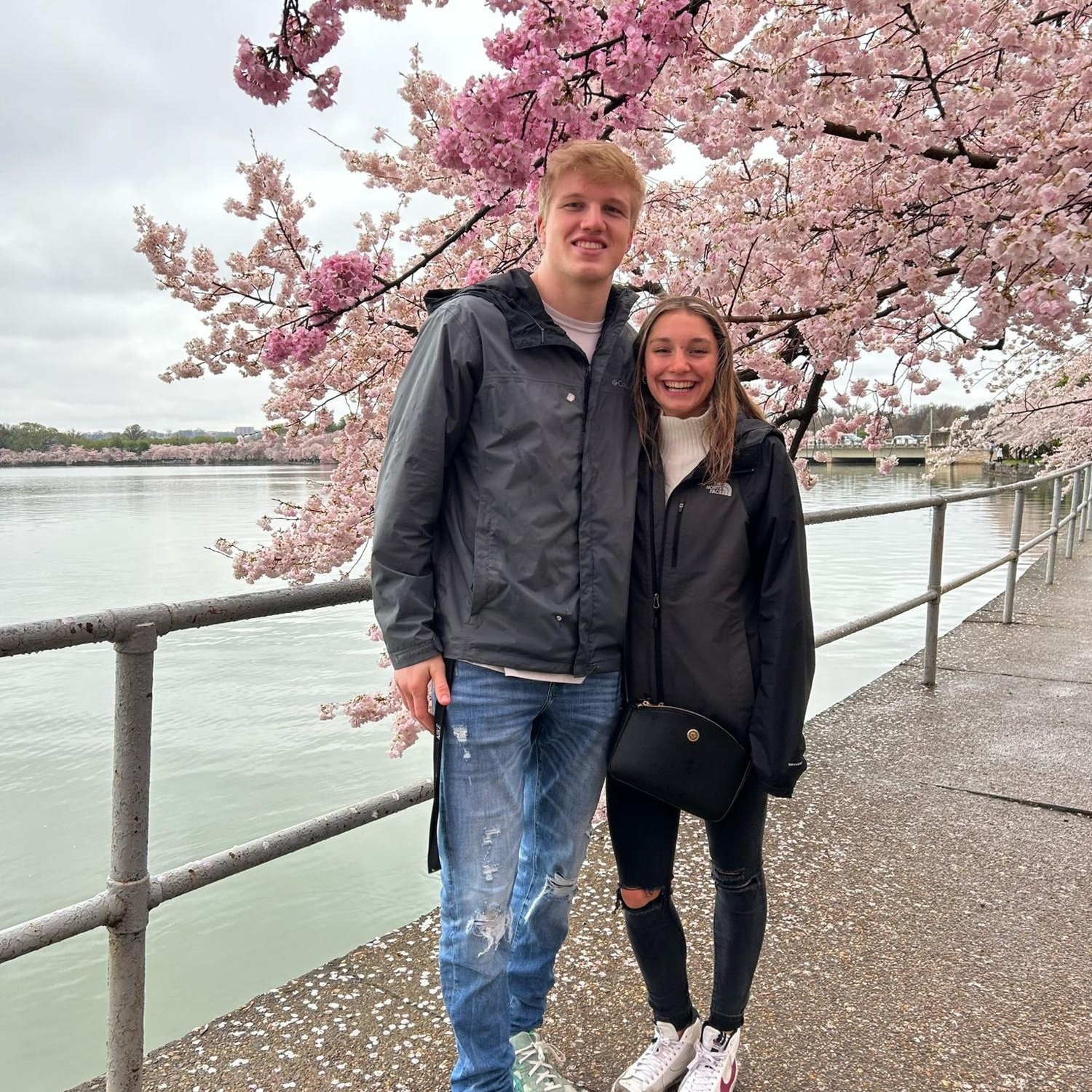 Enjoying the Cherry Blossoms, March 2023