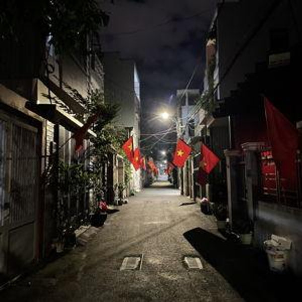 Vietnam Trip Plane Tickets