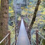 Nisenan Tribute Site Trail Head
