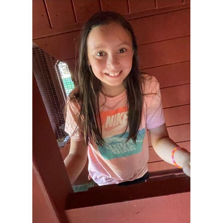 Teagles Popping out of a chicken hut