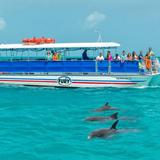 Sunset Watersports: Boat Rentals & Jetski Tours At Cow Key Marina
