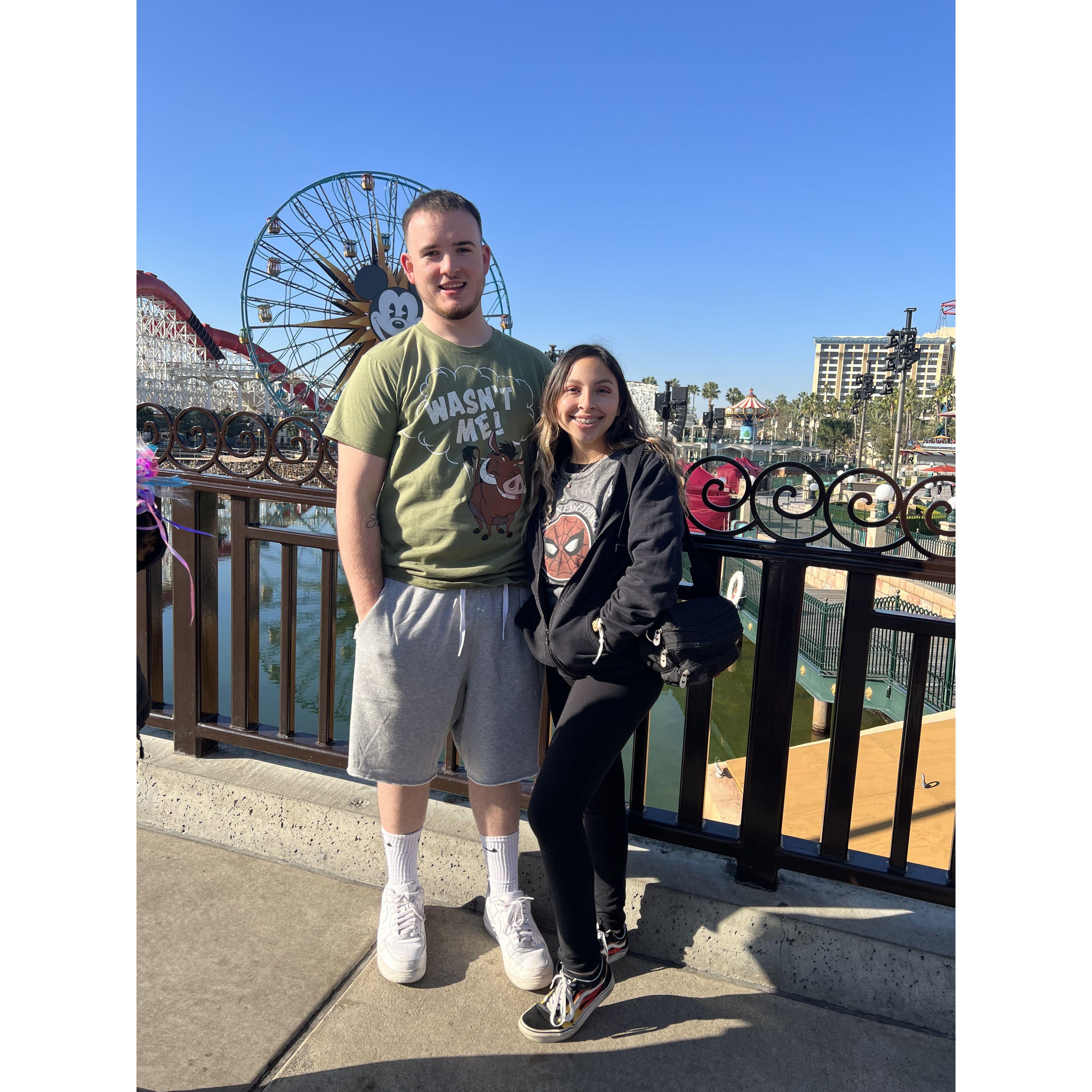 Annual Disneyland trip