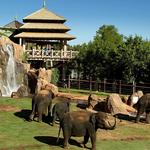 Oklahoma City Zoo
