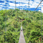 Toro Verde Adventure Park