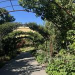 Red Butte Garden and Arboretum