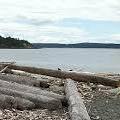 5 Best Beaches on San Juan Island