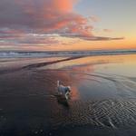 Avila Beach
