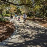 Bike Rentals